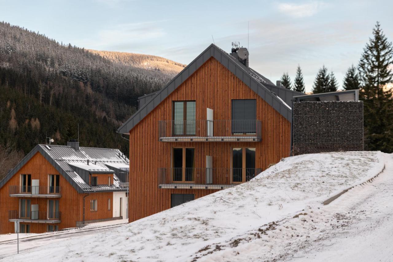 Apartman Pod Sneznikem Dolni Morava Bagian luar foto